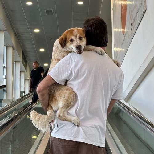 Photo #13180085