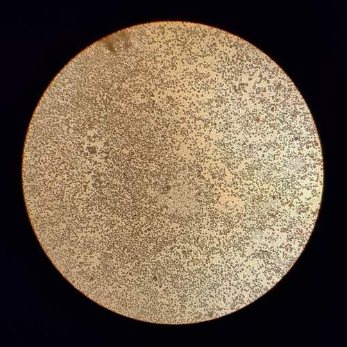 Photo #13180097
