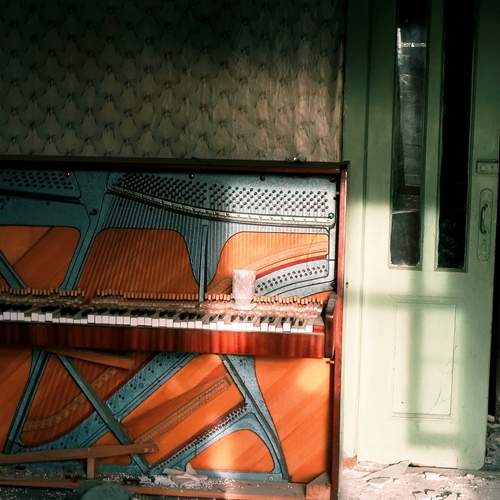 Photo #13180125