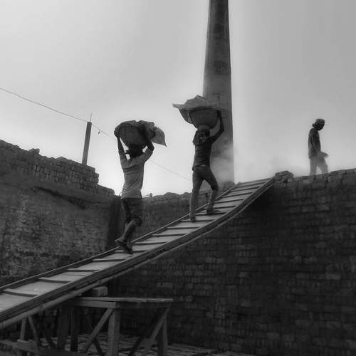 Фотография #13180131