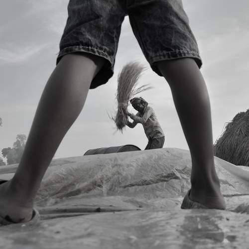 Фотография #13180134