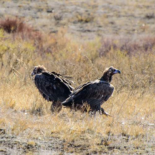 Photo #13180174