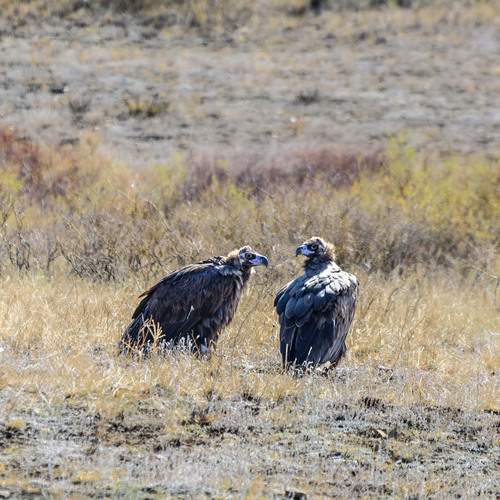 Photo #13180180