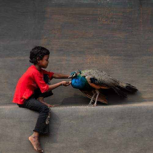 Фотография #13180237