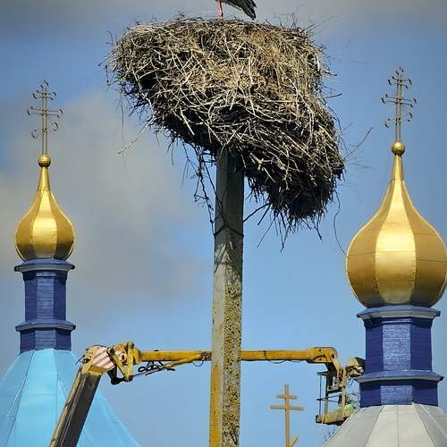 Пирог Борис