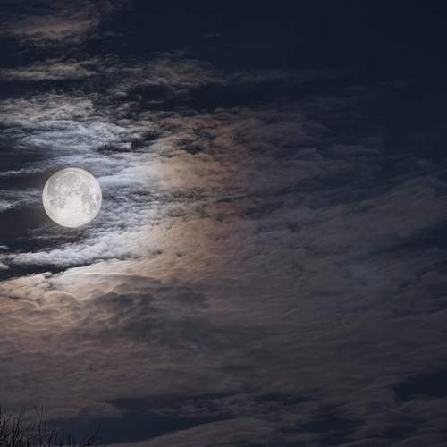 Photo #13180328