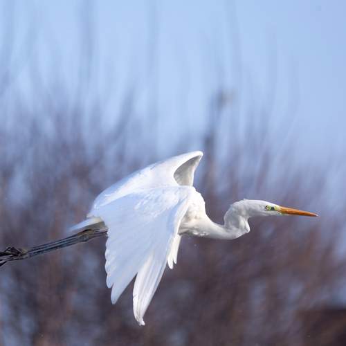 Фотография #13180359