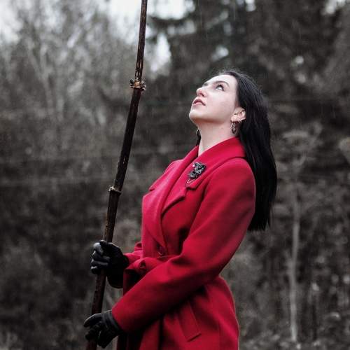 Photo #13180369