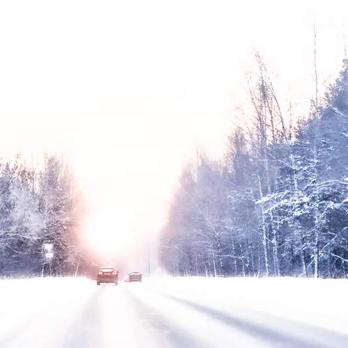 Photo #13180413