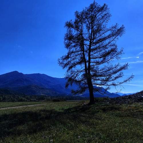 Photo #13180493