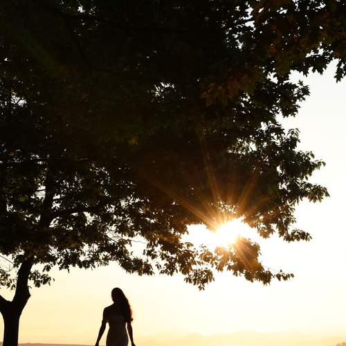 Photo #13180522