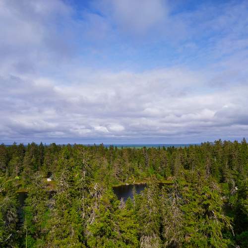 Photo #13180562