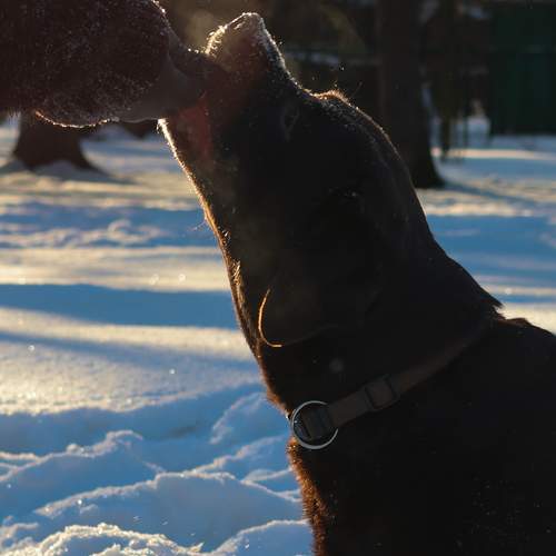 Photo #13180624
