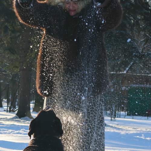 Photo #13180625
