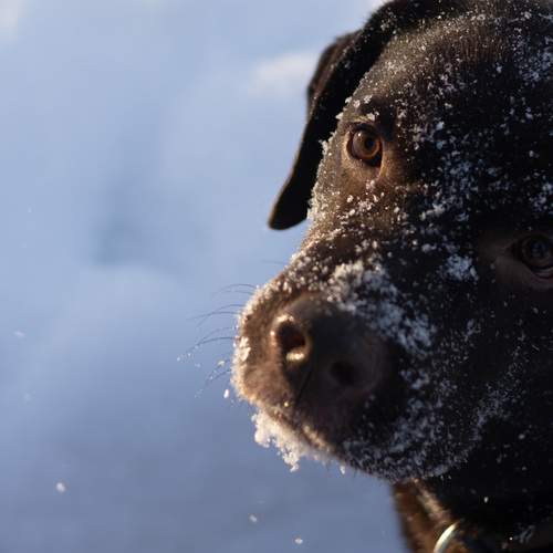 Photo #13180648