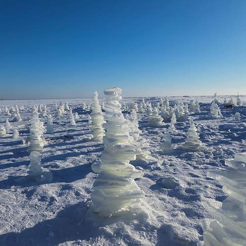 Photo #13180716