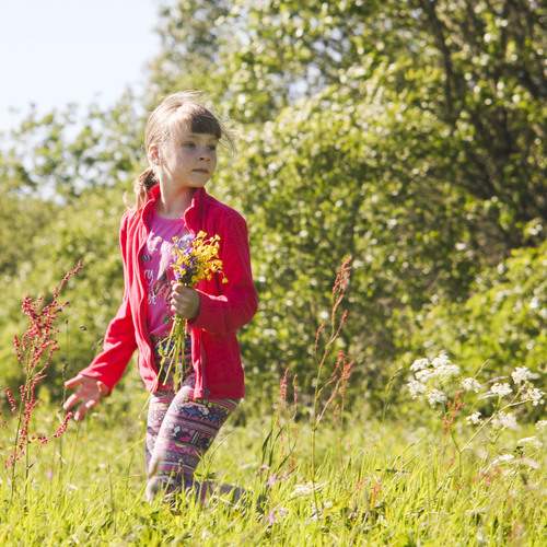 Photo #13180730