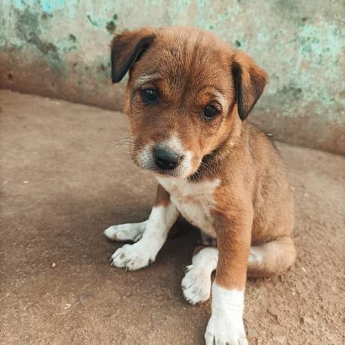 Photo #13180762