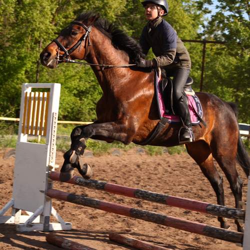 Photo #13180848