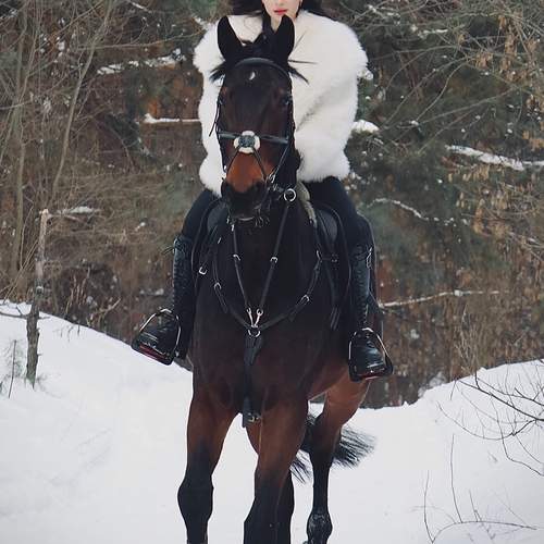 Photo #13180849