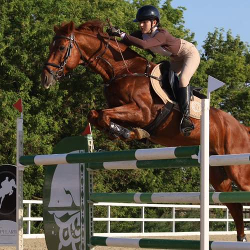 Photo #13180851