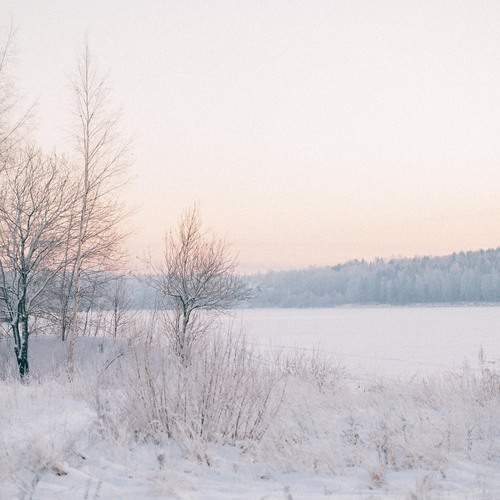 Photo #13180912