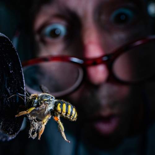 Photo #13181081