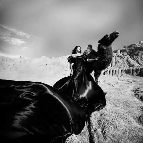 Фотография #13181285