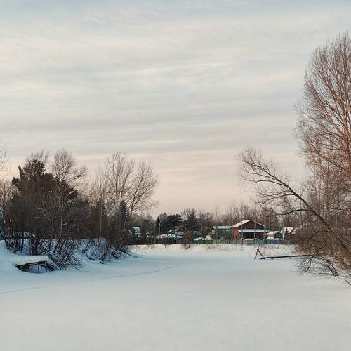 Photo #13181453