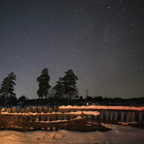 Photo #13181505