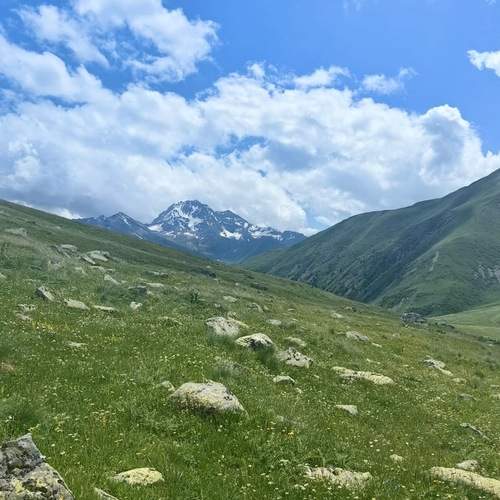 Photo #13181717
