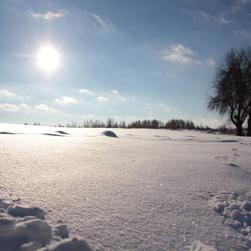 Photo #13181992