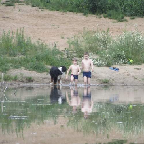 Photo #13182118