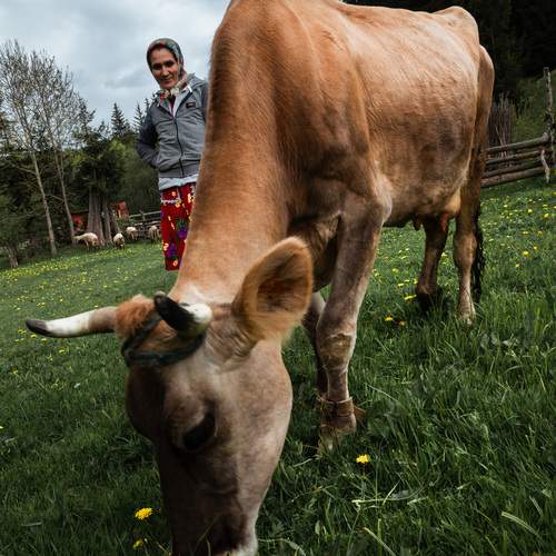 Фотография #13182175