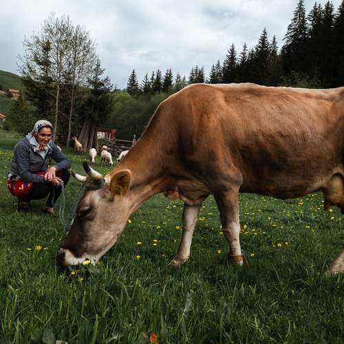 Фотография #13182181