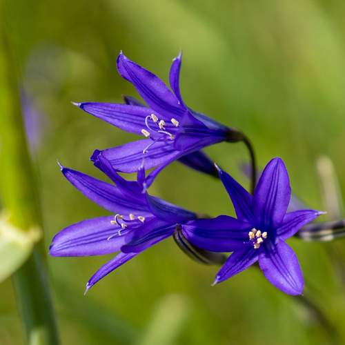 Фотография #13182445