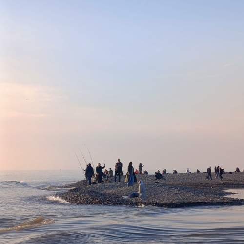 Photo #13182446