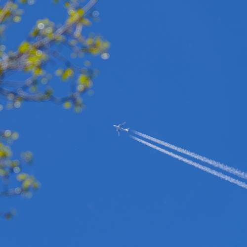 Фотография #13182479