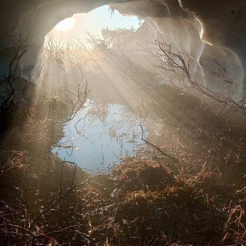Photo #13182572