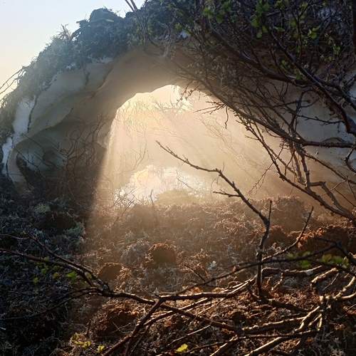 Photo #13182574