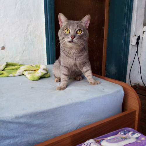 Photo #13182629