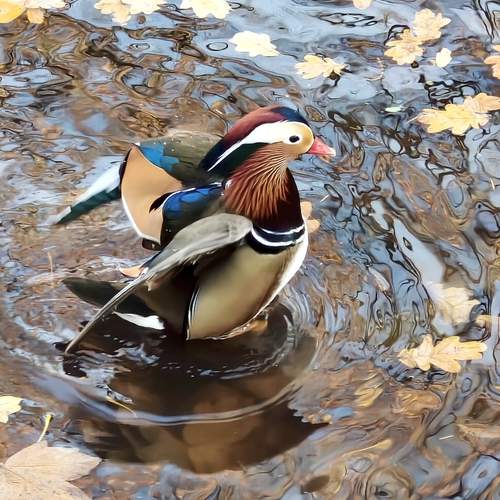 Photo #13182650