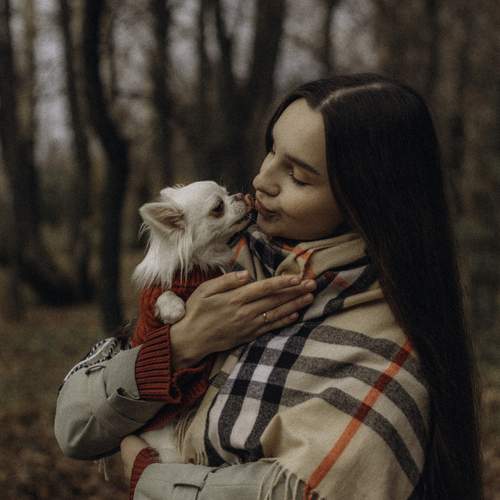 Photo #13182681