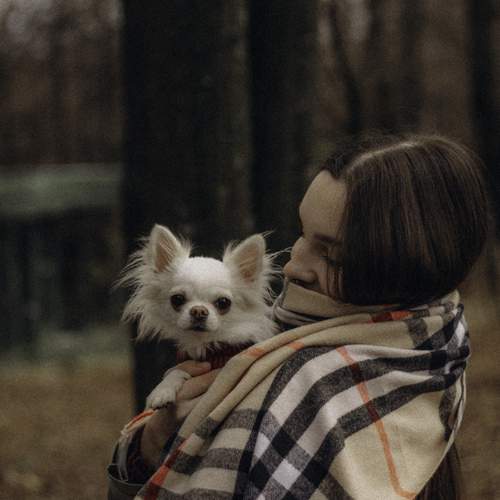 Photo #13182682