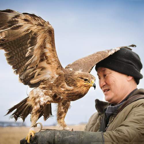 Фотография #13182841