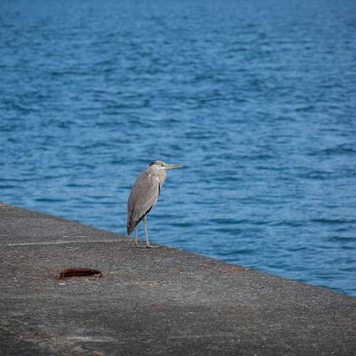 Photo #13182892