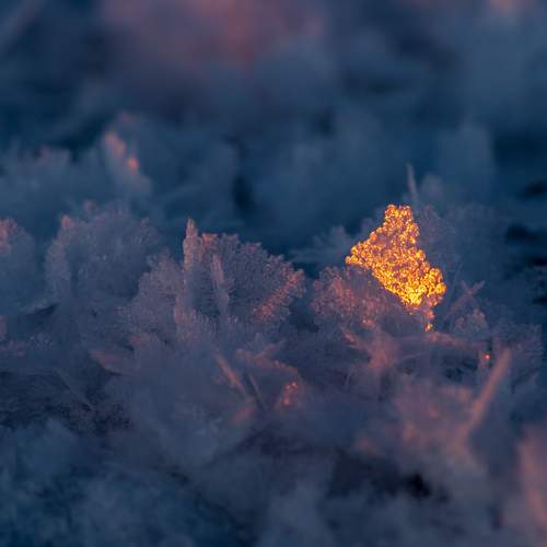 Photo #13183050