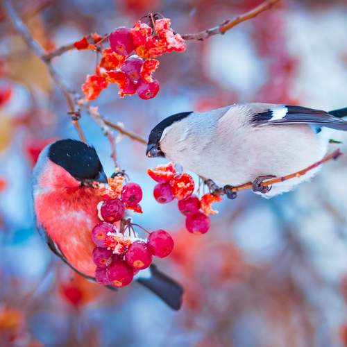 Фотография #13183089