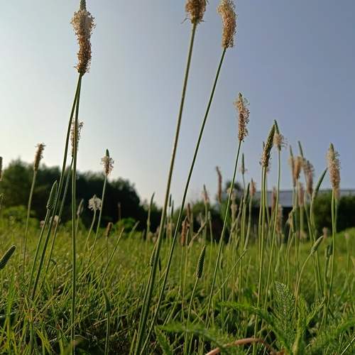 Photo #13183093