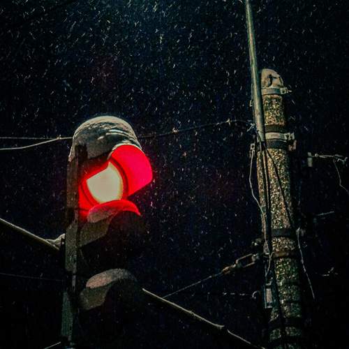 Photo #13183145